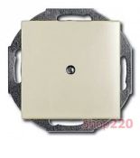 (2CKA001715A0316) 2538-96-507 Заглушка Basic 55 білий шале, ABB