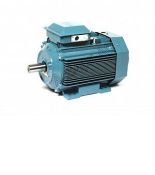 (3GJP224230-ADG) M3JP225SMC8B3 Двигун IE2 30кВт 750об/хв 400 ВΔ, 415 ВΔ, 690 ВY 50Гц M3JP225SMC8B3, ABB
