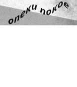 (NSYAMRD24155TB) МОНТАЖНА РЕЙКА 15x5 ММ