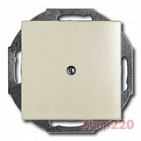 (2CKA001715A0316) 2538-96-507 Заглушка Basic 55 білий шале, ABB