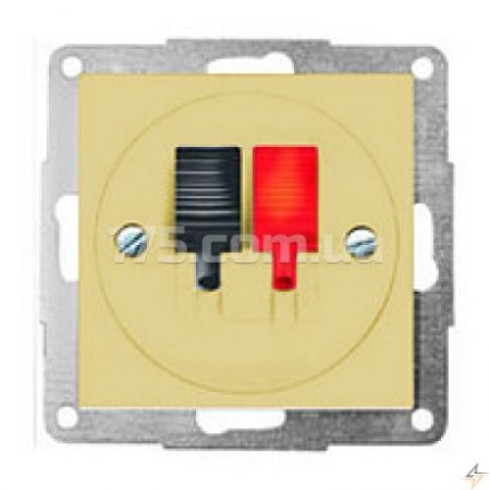 (13052202) Розетка акустична HI-FI сл./кість REGINA, Hager
