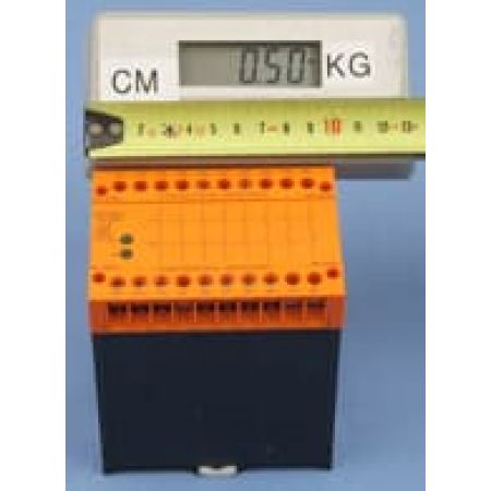 34520241 I/O EXT.UNI BN 3081.63/61 Модуль