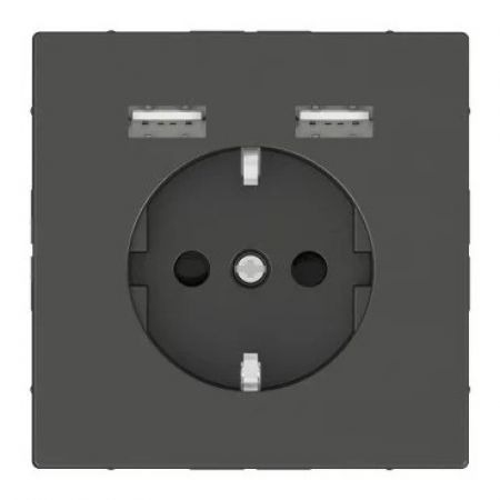 (MTN2366-6034) Розетка Schuko з 2 USB 2