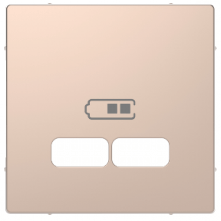 (MTN4367-6051) D-Life ЦЕНР. НАКЛ. USB ШАМПАНЬ