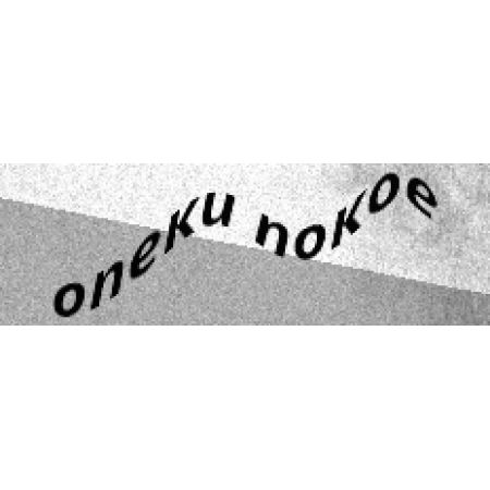 (NSYAMRD24155TB) МОНТАЖНА РЕЙКА 15x5 ММ