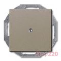 (2CKA001715A0314) 2538-93-507 Заглушка Basic 55 шампань, ABB