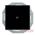 (2CKA001715A0315) 2538-95-507 Заглушка Basic55 чорн.шато, ABB