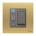 (2CPX062879R9999) AG83 Пластрон 750x500 із прорізом      , ABB