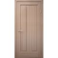 DP02006R5 Часткові двері 200Х600