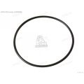 XAL.00094 O-RING ¢ 21,89X2,62 VITON 70Sh (46750221029)-SERV