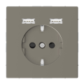 (MTN2366-6050) Розетка Schuko з 2 USB 2