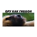 (NSYTRABFPV5) SAREL ЗМЕН МАРК КЛ 5ММ